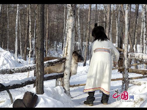每次出入都要用木頭把門插上，防止馴鹿進到院子里。天高攝影