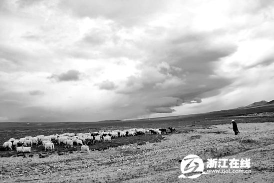 “盛開的白天使”曾經(jīng)蹲點一個星期，就為拍這些云