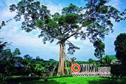 除了迷人的熱帶風(fēng)光，南方邊境線上的“宗教風(fēng)景”也令人神往。