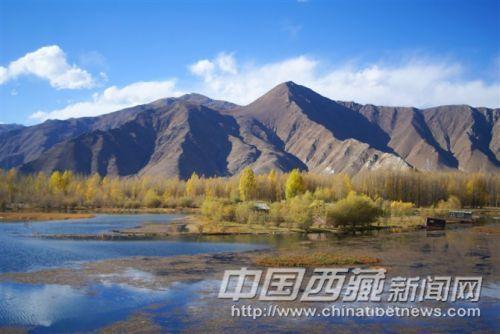 達(dá)孜境內(nèi)318國(guó)道沿線(xiàn)秋色
