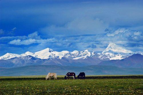 從遠(yuǎn)處眺望念青唐古拉山。（圖片來源于網(wǎng)絡(luò)）