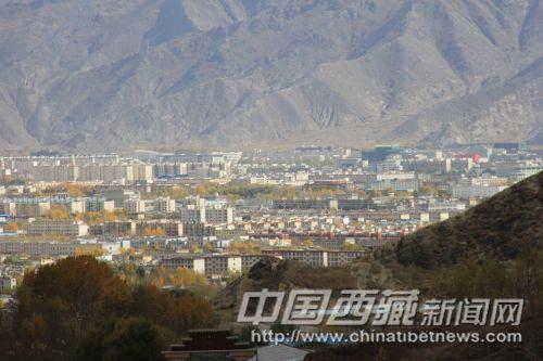 從娘熱溝高處的空地上眺望，遠(yuǎn)處成片金黃的樹林分布在城區(qū)的每個角落。