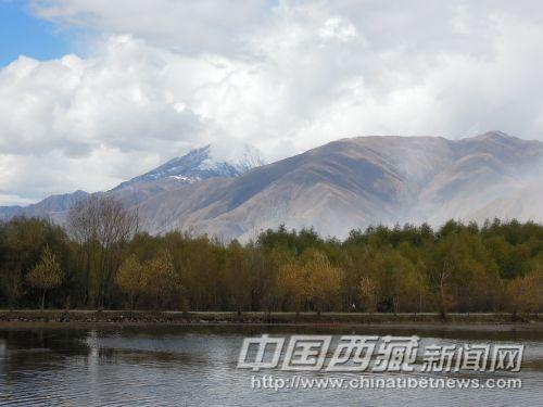 小樹林和群山襯托了池塘的美麗。