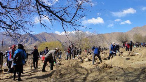 3月29日，援藏干部在拉薩市堆龍德慶縣羊達鄉(xiāng)通嘎村義務植樹。