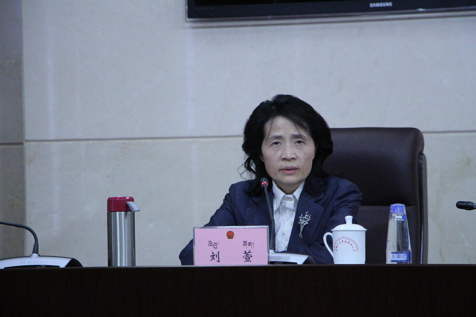 西藏自治區(qū)政府副秘書長、政府新聞發(fā)言人 劉萱.JPG