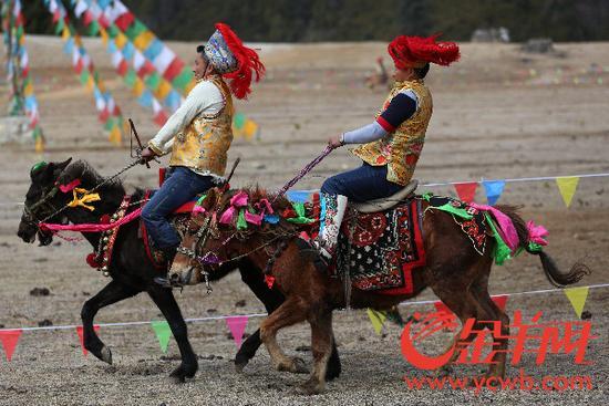 廣東省重點(diǎn)援藏項(xiàng)目——林芝魯朗國(guó)際旅游小鎮(zhèn)正式開(kāi)業(yè)！_金羊網(wǎng)新聞