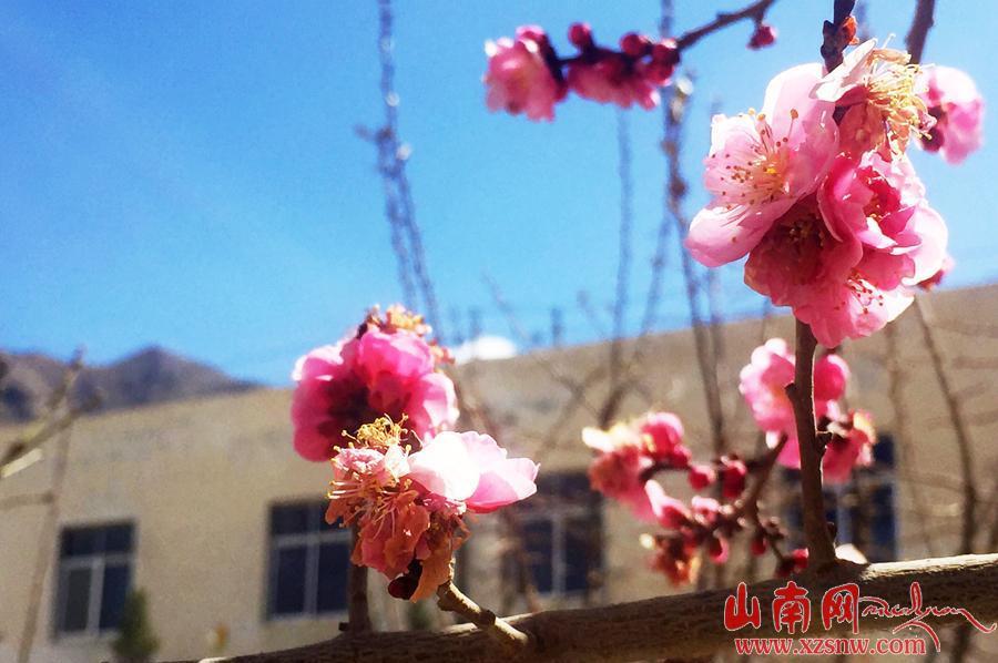 點擊進入下一頁