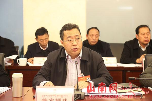 普布頓珠：全力推進山南市各項工作上新水平