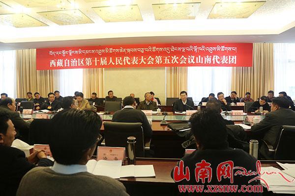 普布頓珠：全力推進山南市各項工作上新水平